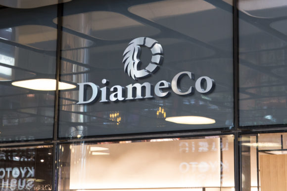Diameco: A Modern Vector Logo Template for Any Brand